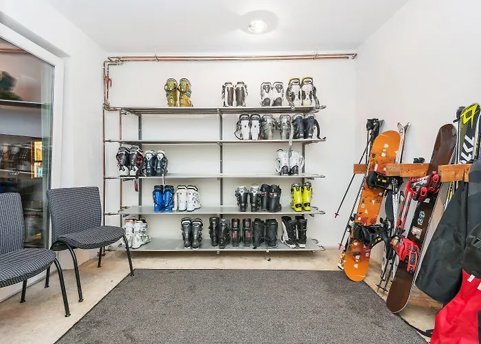 Roessl By Skinetworks Hotel Schladming